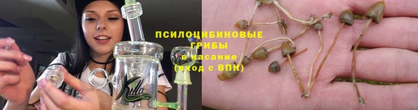 сатива Алексин