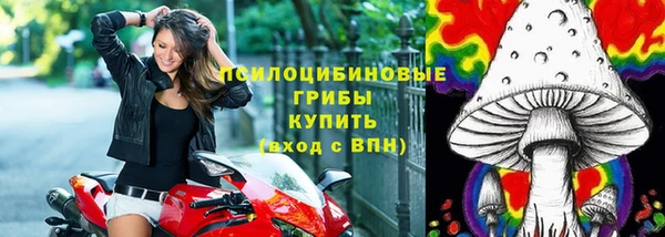 сатива Алексин