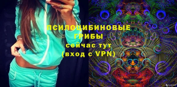 индика Алексеевка
