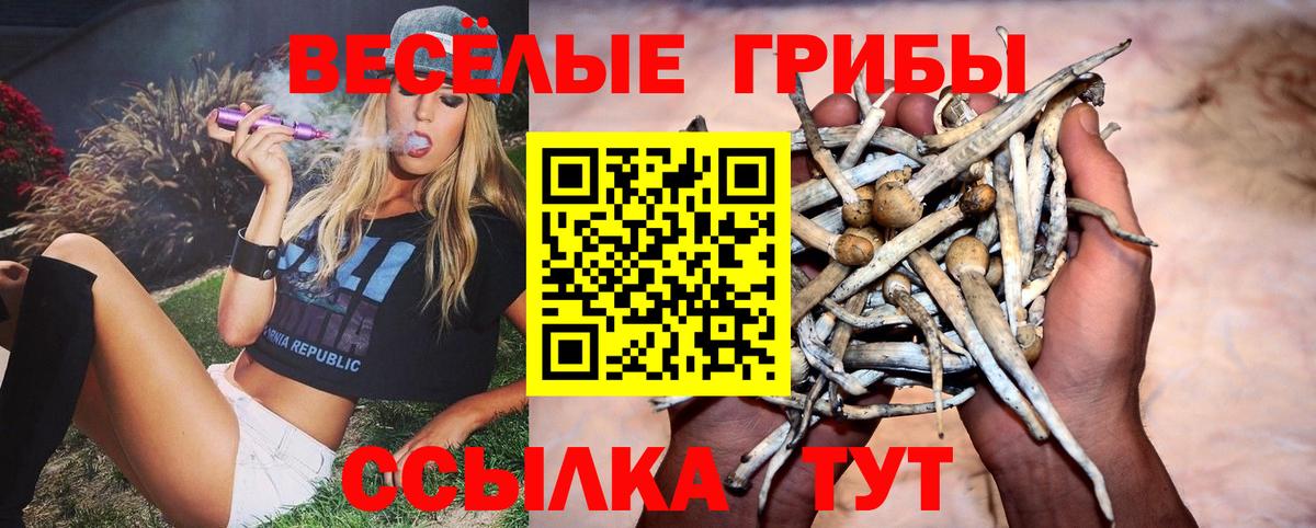 Луга  Галлюциногенные грибы MAGIC MUSHROOMS  Вход с VPN 