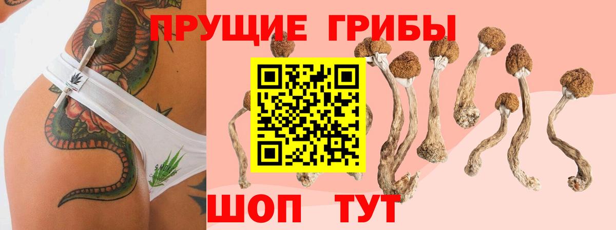 Галлюциногенные грибы GOLDEN TEACHER Луга